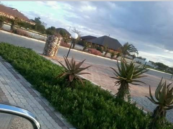 Aloe garden bed near parking area