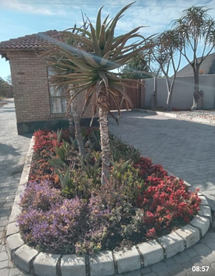 Circular garden bed with aloe centerpiece