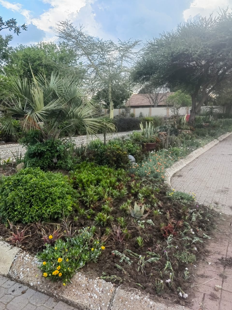 Lush garden with palm trees and flowering plants